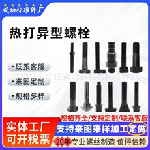 热锻热墩异型螺栓 厂家专业生产高强度特殊非标螺栓螺母 来图来样