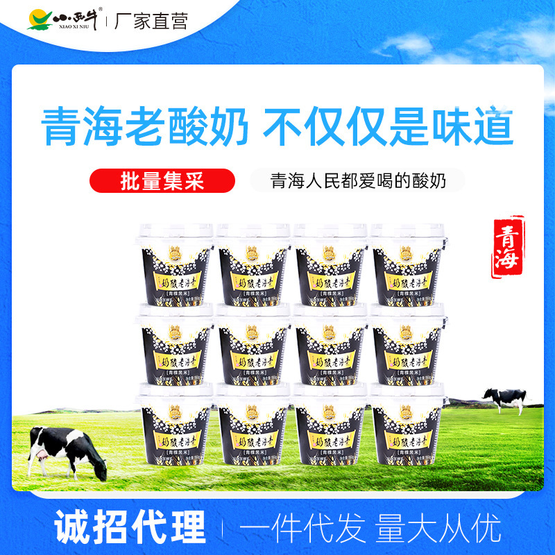 Guangming Xiaoxi Niu Qinghai Old Yogurt Highland Barley Black Rice Treasure Plateau Specialty Cereal Low Temperature Old Yogurt 150
