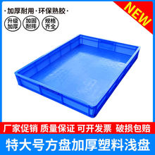 �Ӻ����ϴ󷽱P�ش�̖���D���L��������������Ѓ�ͯɳ�P�\�P�z��