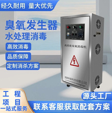 工业大型臭氧发生器空间净化除臭氧废气处理水箱自洁消毒器水处理