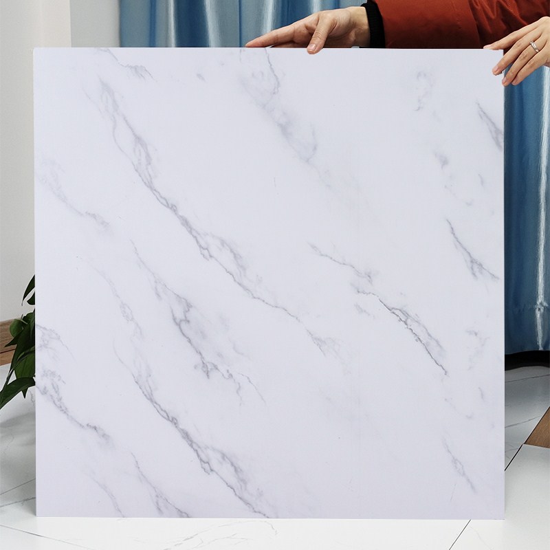 Y5001 모델 60cmX60cm☆[고급 핫 세일]