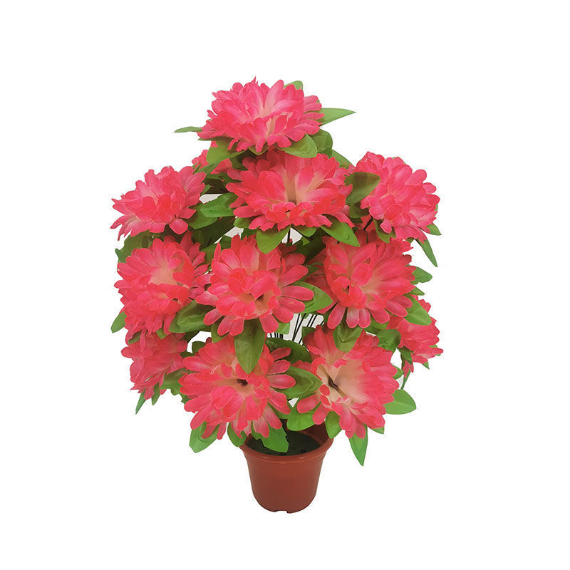 18-headed chrysanthemum with leaves (pink edge) 1 branch - 1 branch + flowerpot quality choice