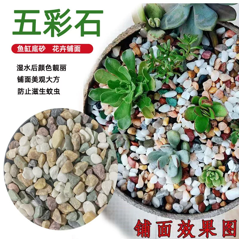 Красочные украшения, оптовые закупки