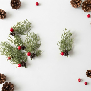 �羳�}�Q�t���ؘ��~DIY�ٗl �}�Q���h�Gɫ�ٗl��Y�Ɍ��b����