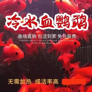 ���\����Ѫ�t�W�^�~��ˮС���^�p�~�ͻ�ݽ��~��ˮ�~�ͺ���ˮ��