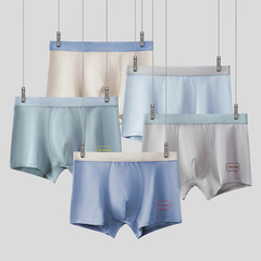 Underwear for Teenagers and Young Adults - 3D Seamless Briefs for High School and Middle School Students - Straight Leg Medium Waist Four-Point Cotton Antibacterial Men's Shorts