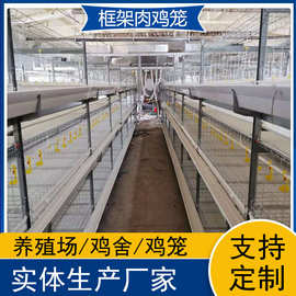 自动化框架肉鸡笼 养鸡设备 鸡舍改造大中小型养鸡厂鸡笼