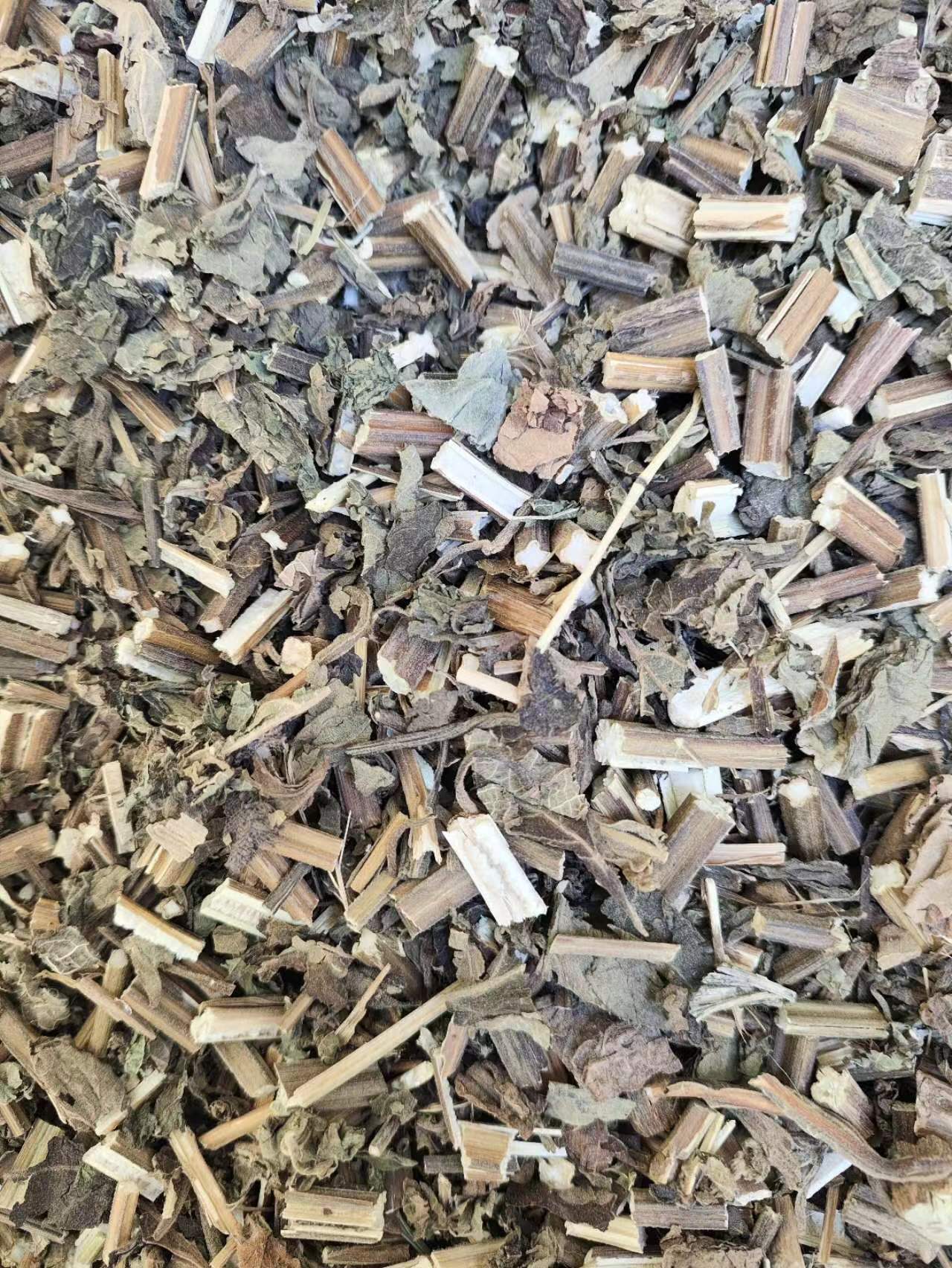 Xi Huang Cao (Rabdosia serra) — Dried Chinese Herbal Decoction Pieces, 500g quality and texture