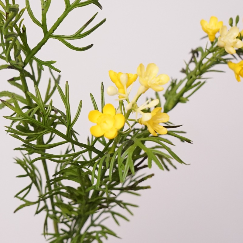 摆件野菊花干花雏菊小特价假清新花束摆设小荷兰菊仿真客厅洋甘菊