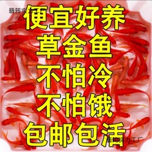 �ݽ��~���~�\���~���^�p�~��ˮ�~��ˮ�~С���ͻ���wС���~�t�ݽ�