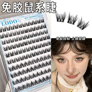 ���z������ϵ�ٽ�ë��Ȼˮ������ֶΑ���������������y�۽�ëŮ