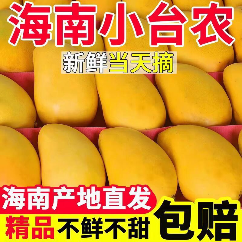 Hainan Xiaotai Mango 5kg Freshly Picked Xiaotai Mango, Seasonal Tropical Fruit Specialty, Free Shipping 5 Hainan Xiaotai Mango 5kg Freshly Picked Xiaotai Mango, Seasonal Tropical Fruit Specialty, Free Shipping 5