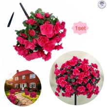 �羳���R�d������N�����Ļ��ز彁�������ř�С�Ѳ廨��@�b�