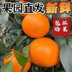 �V���ָ̮������rˮ���ЙC���ھ��x�ָ̽۬Fժ���ږ|�ρ��ϓ�̩��