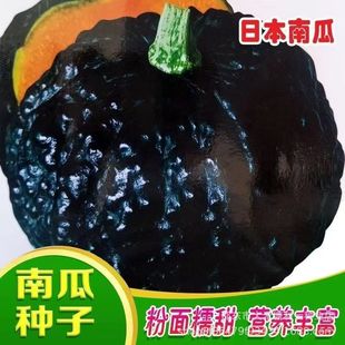 �ձ��ϹϷN�Ӹ߮a������Ŵ�����߲˷N�Ѻڰ����Ϲ��M���ļ����N��