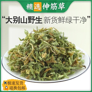 ���x��Ʒ������ș�����_�Rβ����ݽ�ǲݷ�Ұ��ʯ�ɪ{�Ӳݺ�؛