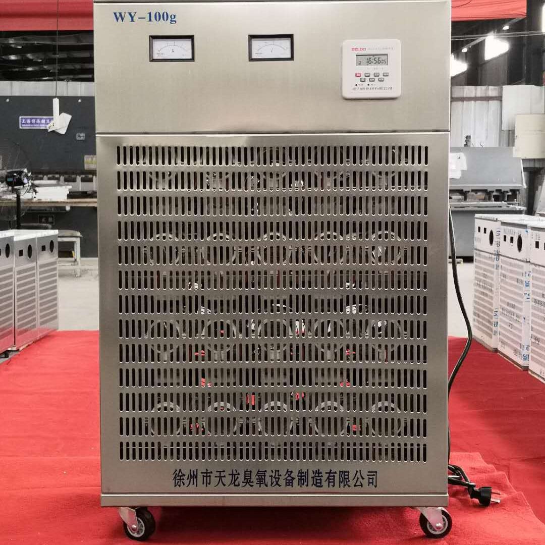厂家直销臭氧发生器WY-100g移动式防水臭氧机 食用菌业食品厂药厂