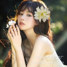 �W���羳�����շ��滨��l� �ȼ�̩���^l�A�Շ�������A߅�A