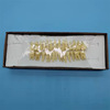 Stomatology Department permanent teeth three-dimensional Teeth model adult 28 standard Tooth permanent teeth Tooth root teaching explain communicate Material Science