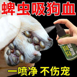 ���w����x�������x��ʭ�������\�x�����x������Ʒ؈�����x��