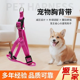 行李带;证件卡、挂绳;狗狗牵引