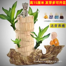 ����ľˮ�B�������҃Ⱥ��B�����ļ������k�����[�����\ľ�Y��Gֲ