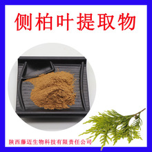 侧柏叶提取物无中间商侧柏叶粉欢迎选购侧柏叶浸膏粉