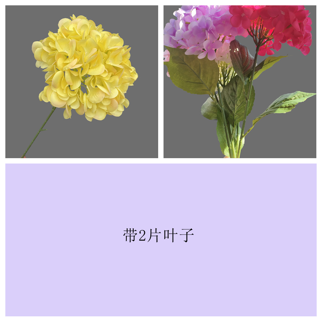 72개입 잎사귀 달린 노란색