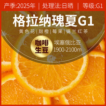 2025�a���������ȁ������{ׯ�@����G1�Օ�̎����G1��Ʒ��������