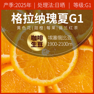 2025�a���������ȁ������{ׯ�@����G1�Օ�̎����G1��Ʒ��������