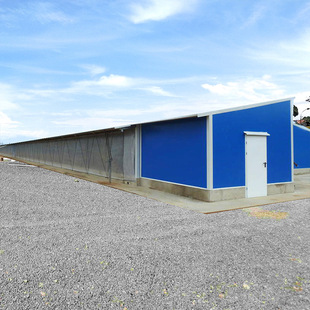 Light Steel Structure Enclosed Negative Pressure Ventilation Fully Automated Chicken Coop Exit