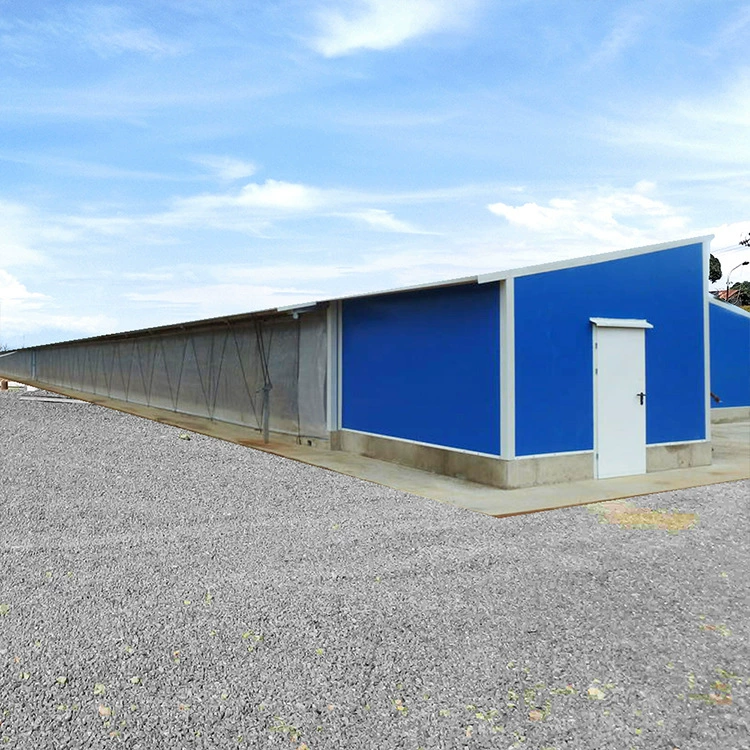 Полностью автоматизированный выход из птичника с вентиляцией отрицательным давлением, выполненный из легких стальных конструкций.