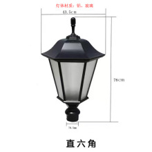 20�ꌣ�I·�������� ���lֱ���� LED �X���T ͥԺ�����^