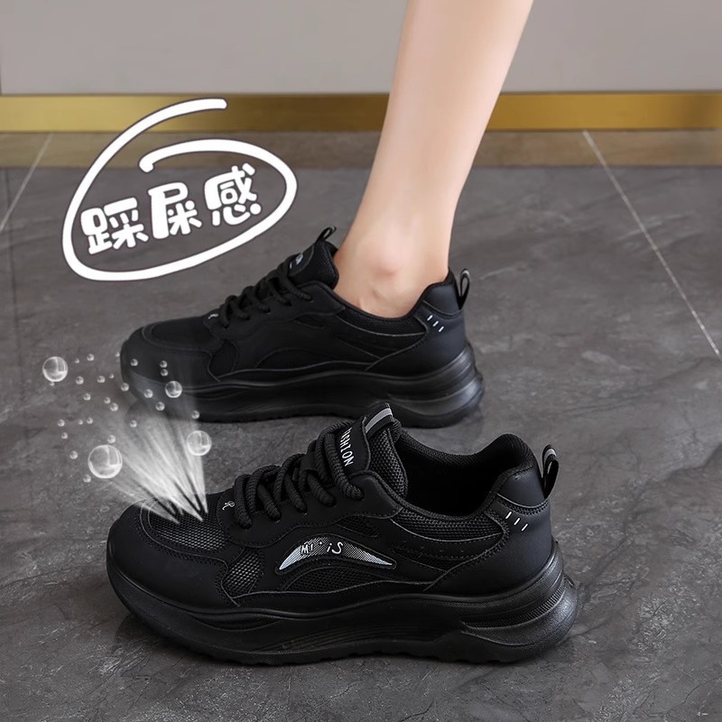 블랙 메쉬