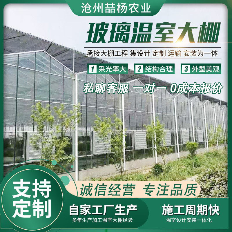 玻璃大棚 智能连栋玻璃温室 生态餐厅科研温室大棚