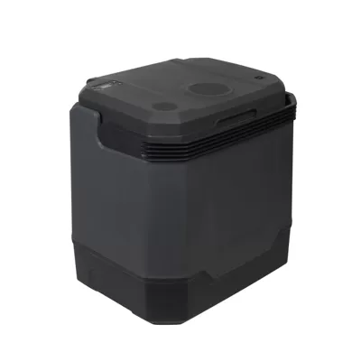 Factory Direct Sales Supply 33L Small Car Refrigerator for Car and Home Use, Outdoor Camping Bluetooth Mini Refrigerator Wholesale (Soyuducular) - black-ordinary-style-452354455mm