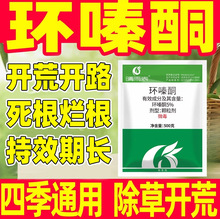 ������hຆL�h�ͪ�ĵس��ݠ������h̩�~���݄��s�����ӹ�ľ�w��