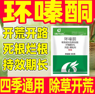 ������hຆL�h�ͪ�ĵس��ݠ������h̩�~���݄��s�����ӹ�ľ�w��