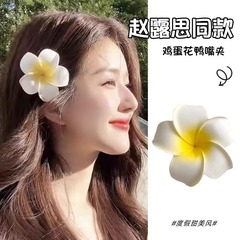 逃げる王女の卵の花の髪の飾りの海辺で写真を撮ります。