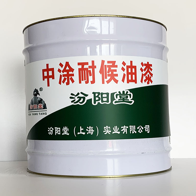 中涂耐候油漆、汾阳堂直供、中涂耐候油漆、专业厂商