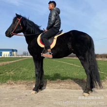 ���ɹ��T���R�Bֳ���ɹ��R�r�� Ӗ�õľ��^�T�˴��R������