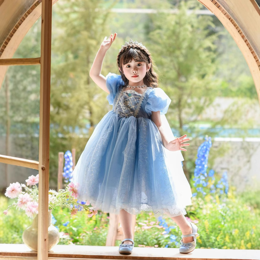 25 Summer Frozen Elsa Girls Elsa Princess Sequin Princess Dress Long Dress Birthday Dress Cape Dress