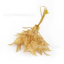 DIY���滨����ֲ��ˮ��ɭϵ�Ʒ����b������z���ϲݻ��h����