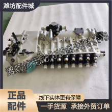 潍坊潍柴8170柴油发动机高压油泵 柴油泵BP6911/BP696921喷油泵