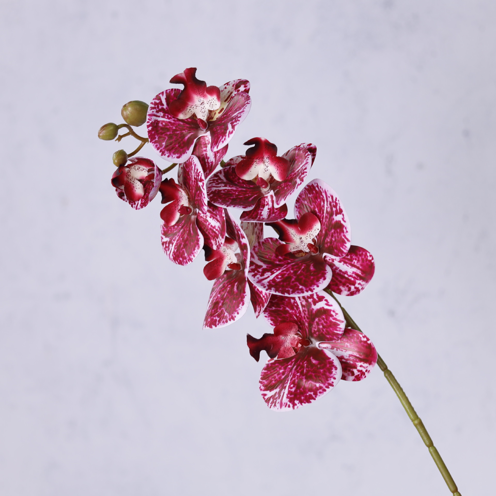 Impresión 3D de 7 cabezas de orquídeas mariposa flor de decoración de flores de alto nivel flor de nicho decoración floral decoración de sala de estar