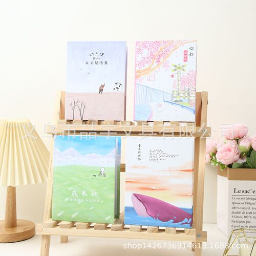 Zheyu new model large 6 inch 4D 100 sheets insert photo album 6 inch plastic insert pocket photo album wholesale cross-border