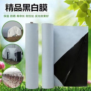 J8 Thermal Insulation Rainproof Breeding Plastic Cloth Breeding Thickeneded Anti-Aging Imported Shed Film Greenhouse Film Black and White Film G3