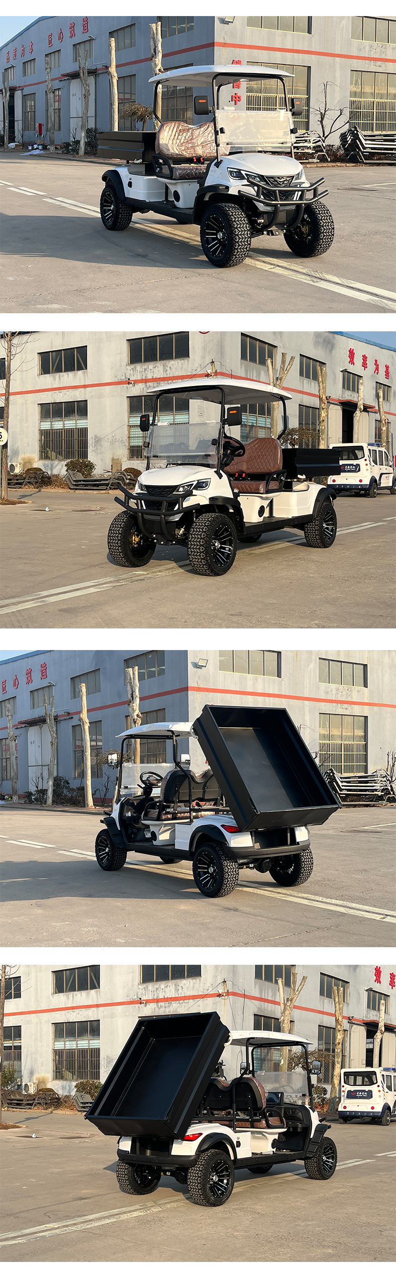 2-Seater Electric Off-Road Golf Cart, Tourist Vehicle for Scenic Spots, Hotel, Tourist Park, and Shuttle Bus