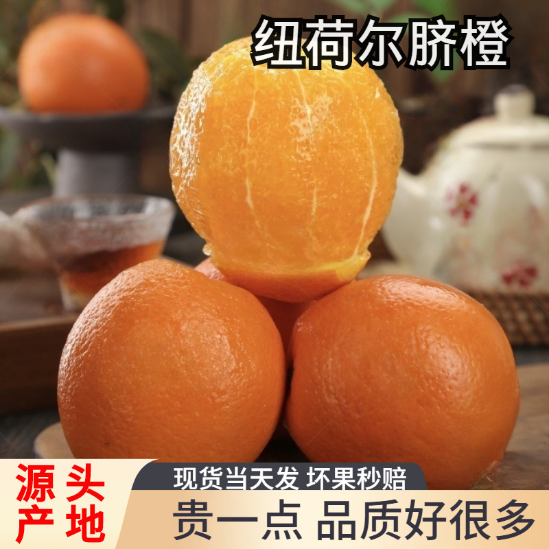 正宗纯甜纽荷尔脐橙子新鲜水果非江西赣州赣南当季大果一件代发