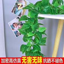 �����ٗl�G�}�~�bG�ټ٘��~�������ϻ���ˮ�ܵ��ړ����{�G�~��